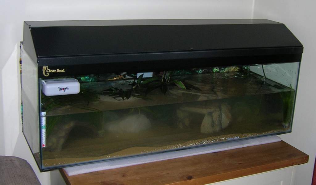 Their home :)