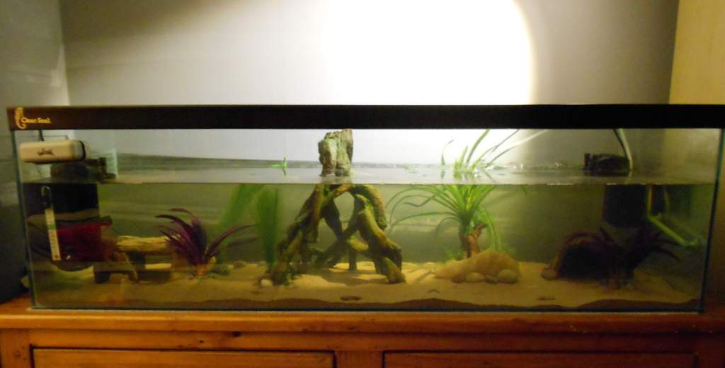 Their home :)