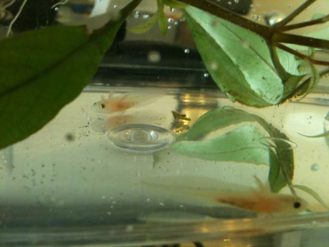 there first day in ther new home!