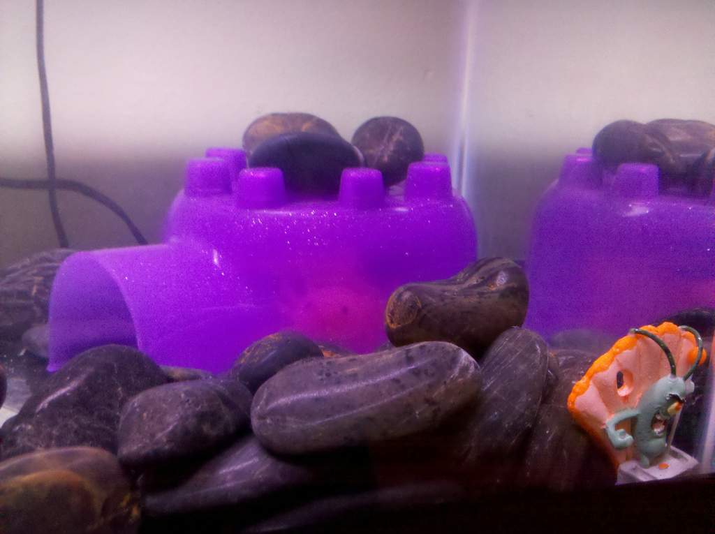 there he is hiding out! hee hee