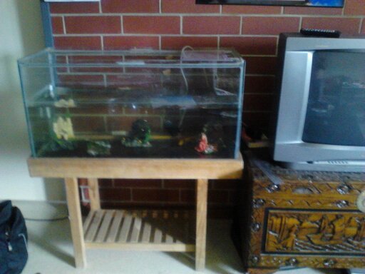 This is Axles abode, 3 ft long
