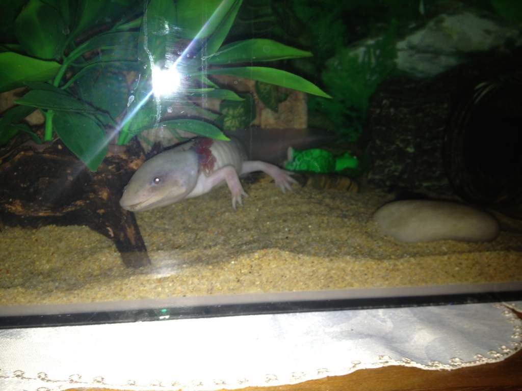 this is his good arm