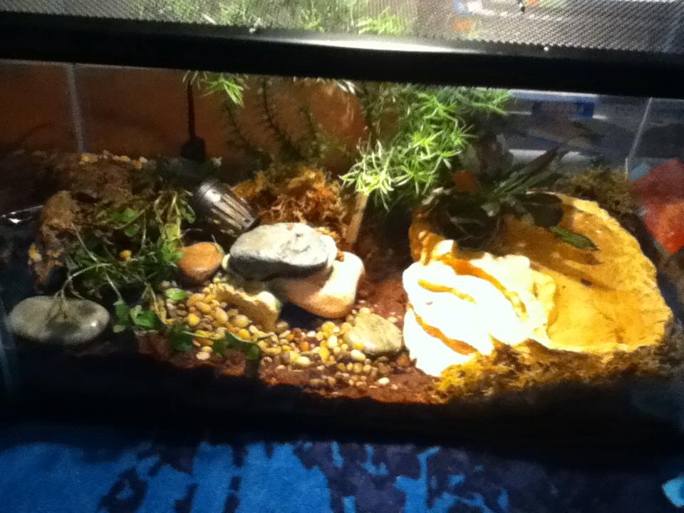 This is his tank.