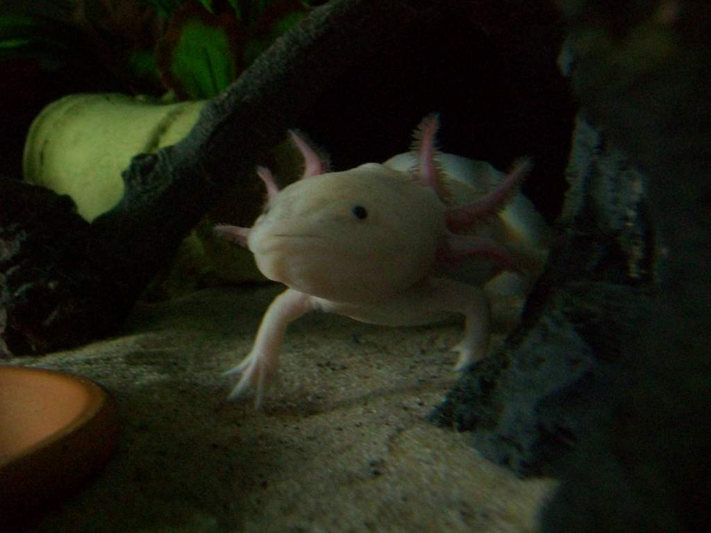 this is my cute side