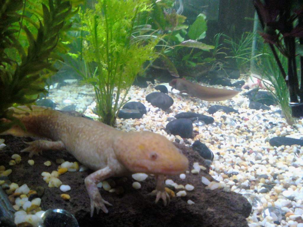 This is my girl madusa