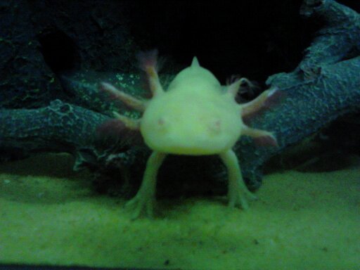 this is my log