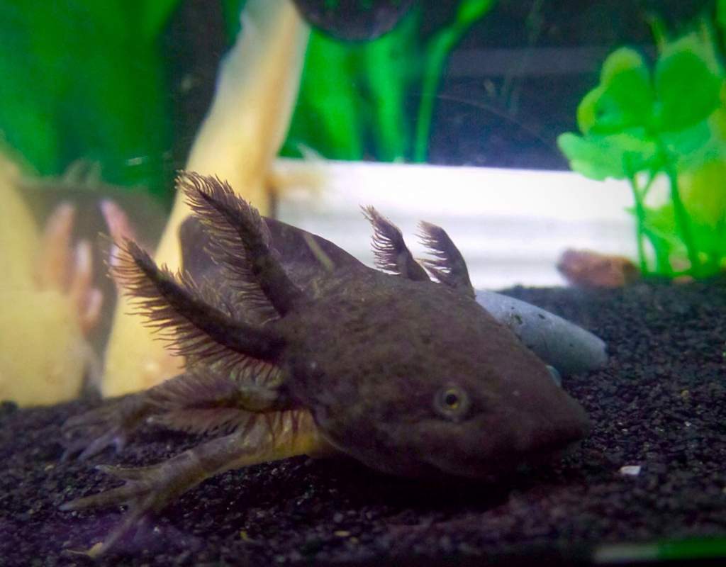 This is "the name that shall never be spoken"