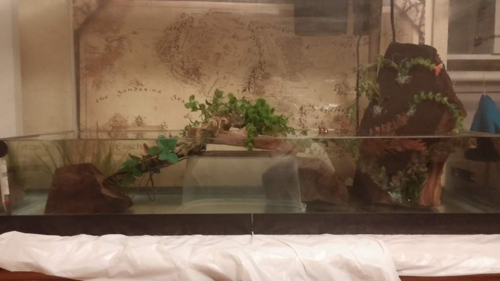 This is the rock that comes outside of the water so Mullet wont drown.