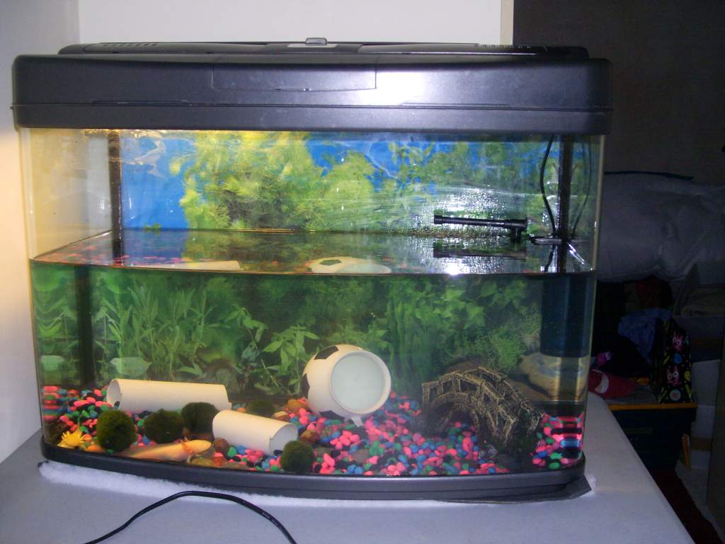 This was tank #2