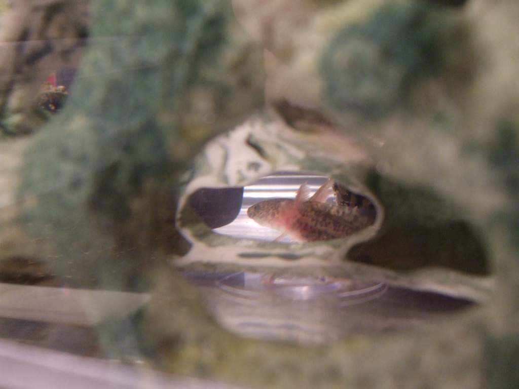 Through his holey cave.