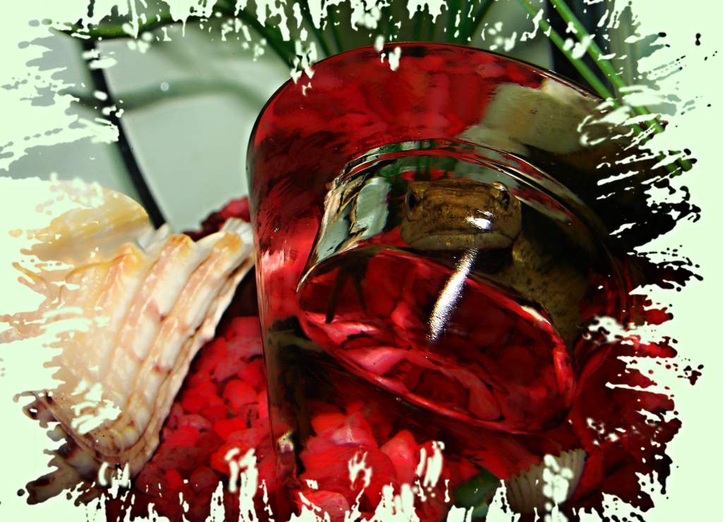 through the looking glass (2)