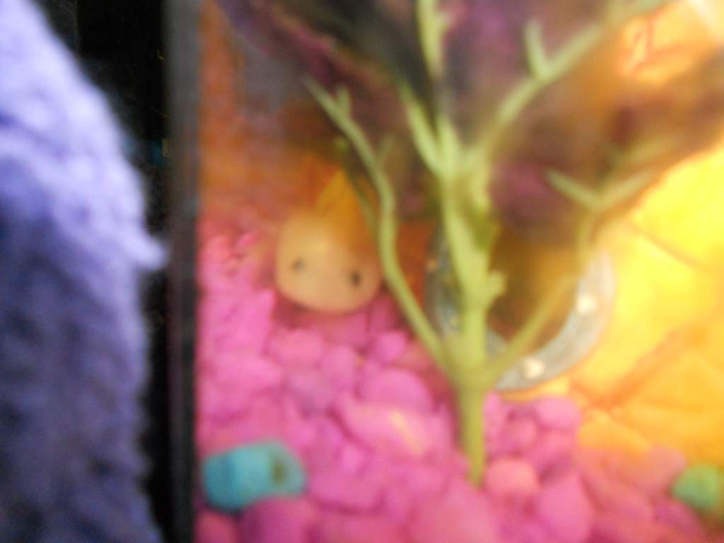 tiny little pixie head looking from behind his favorite plant.