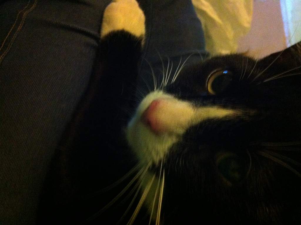 Tom