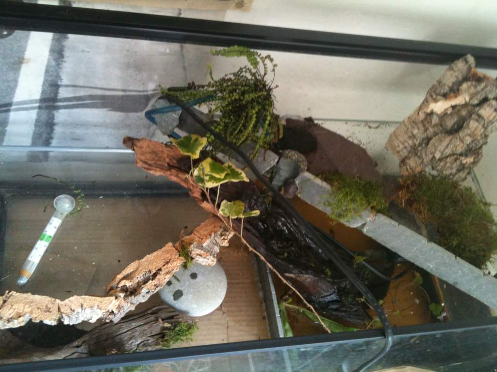 top view no substrate