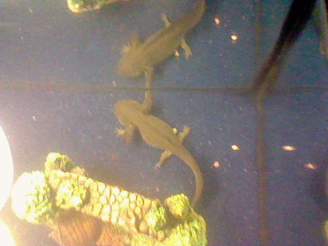 Top view....