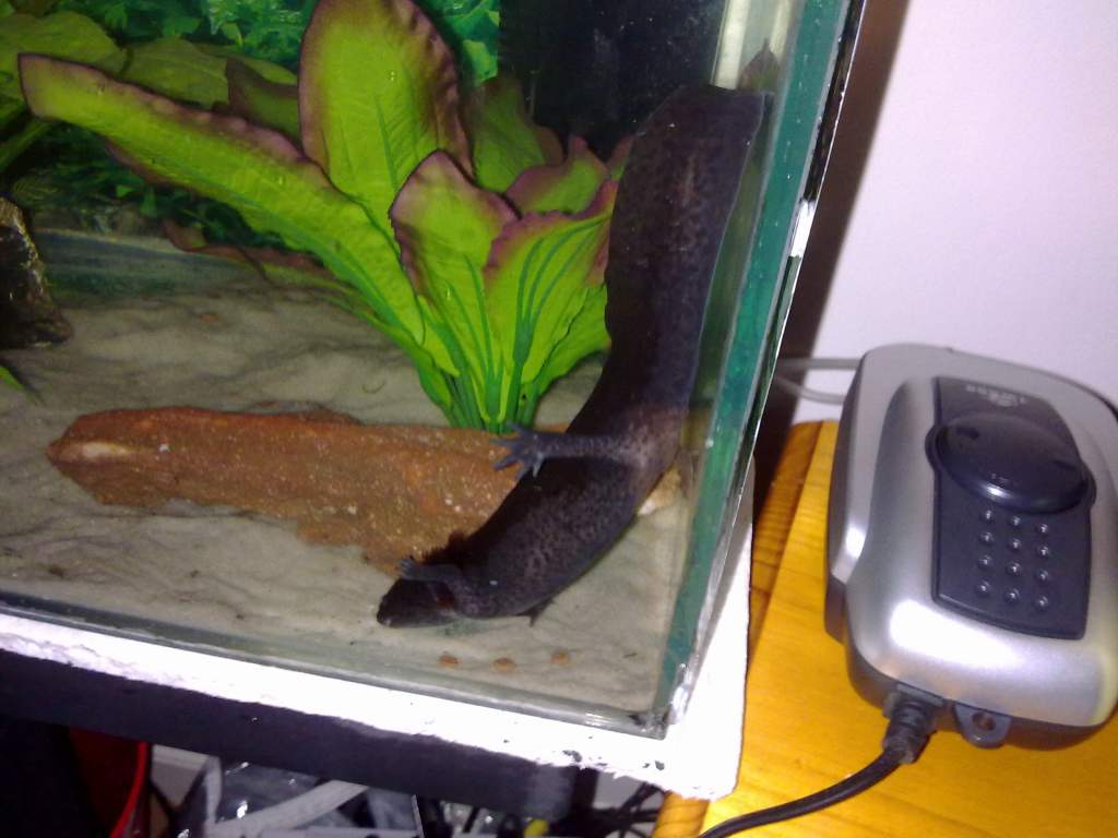 Turns out, axi's are rather flexible :P
