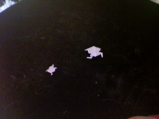 Two origami frogs together, just tests, i'll make more from better paper
