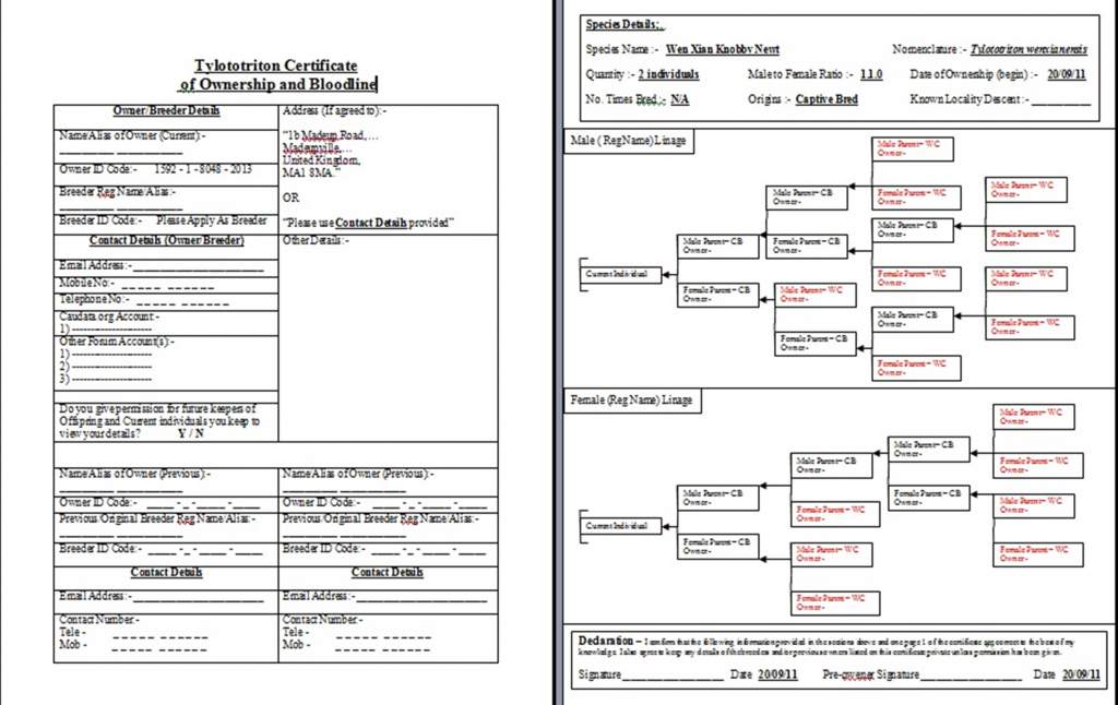 Tylototriton Ownership Certificate Draft ©