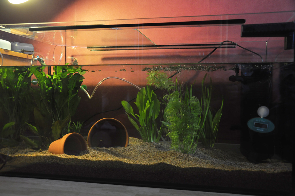 Updated. Added some hides.