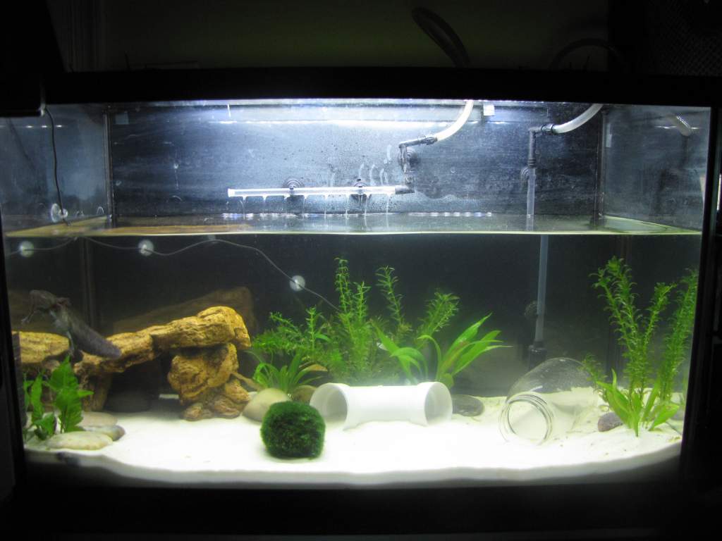 Updated tank