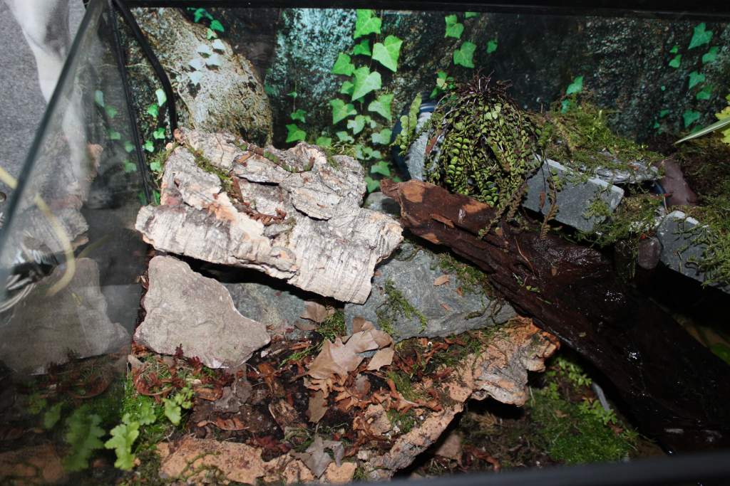 "upstairs" dry hide