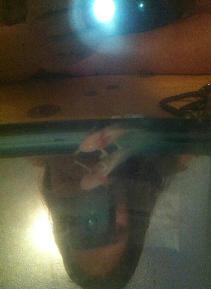 Very first picture of little Monster. He seems so tiny in this picture.