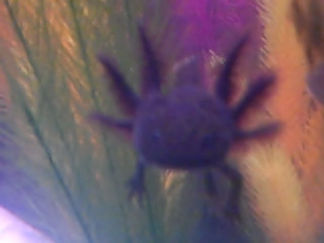 VID00103