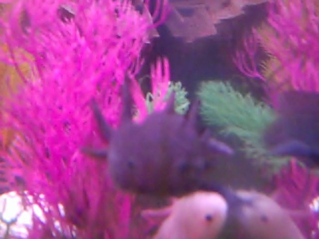 Video 49 0 00 41 28