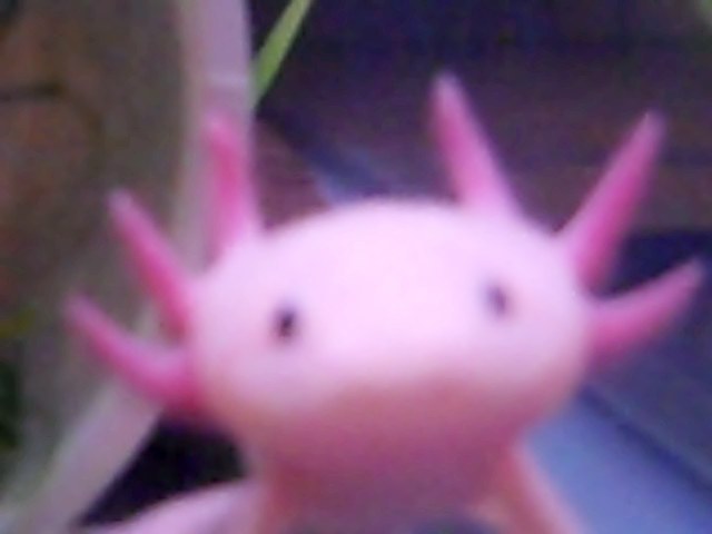 Video 49 0 01 26 10