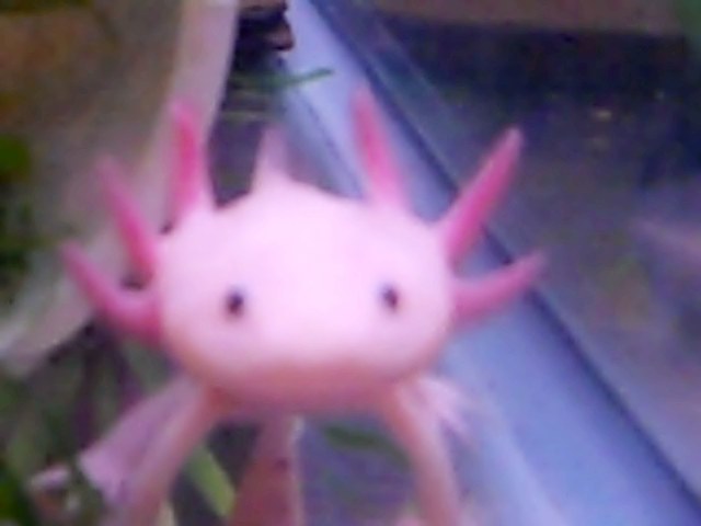 Video 49 0 01 33 10
