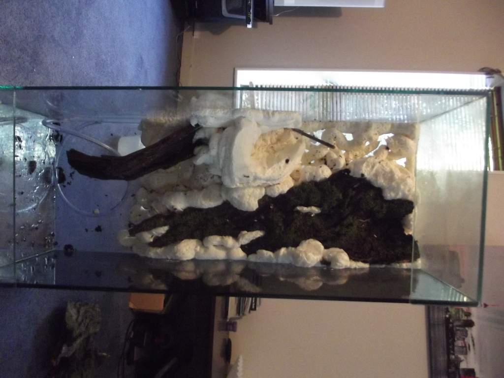 view of whole tank