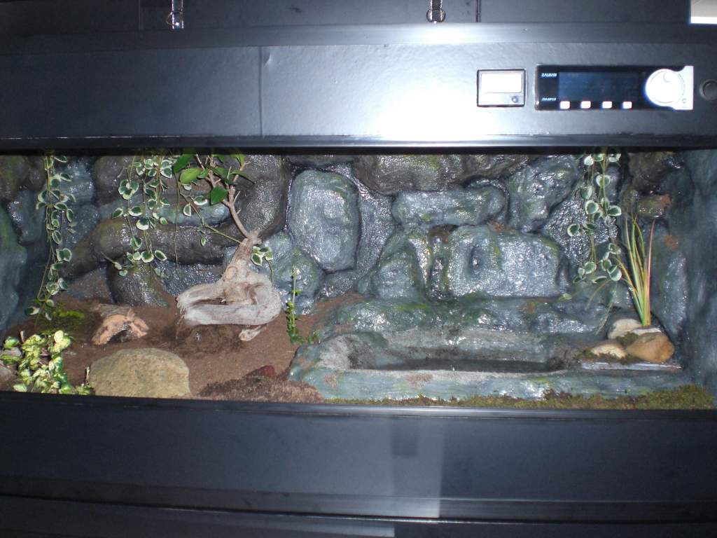 Vivarium finished and occupied.