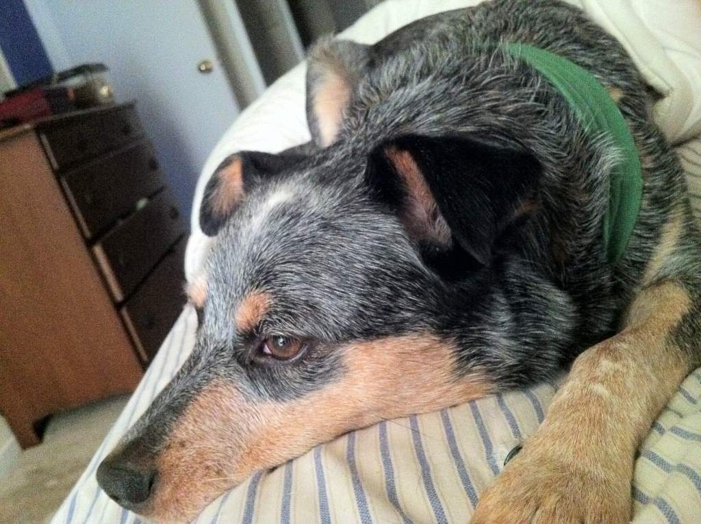 Wake up mommy...you lazy...