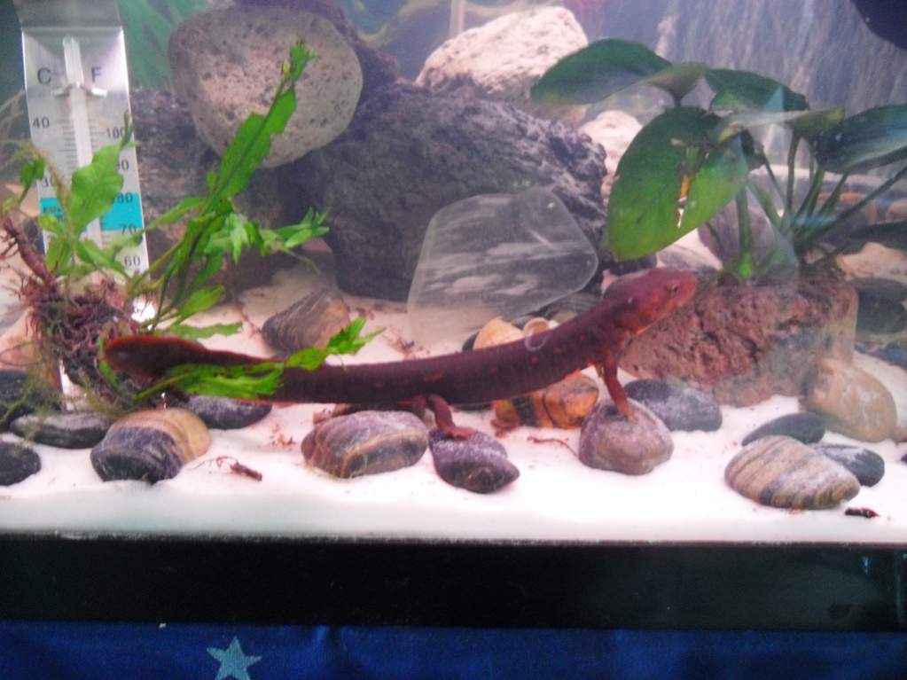 Was that a shrimp?