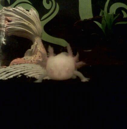 Watchin me :)