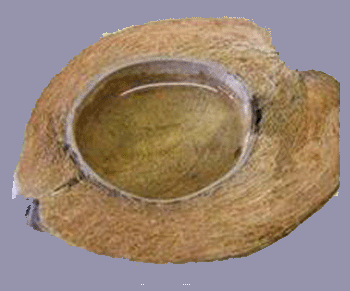 water dish copy