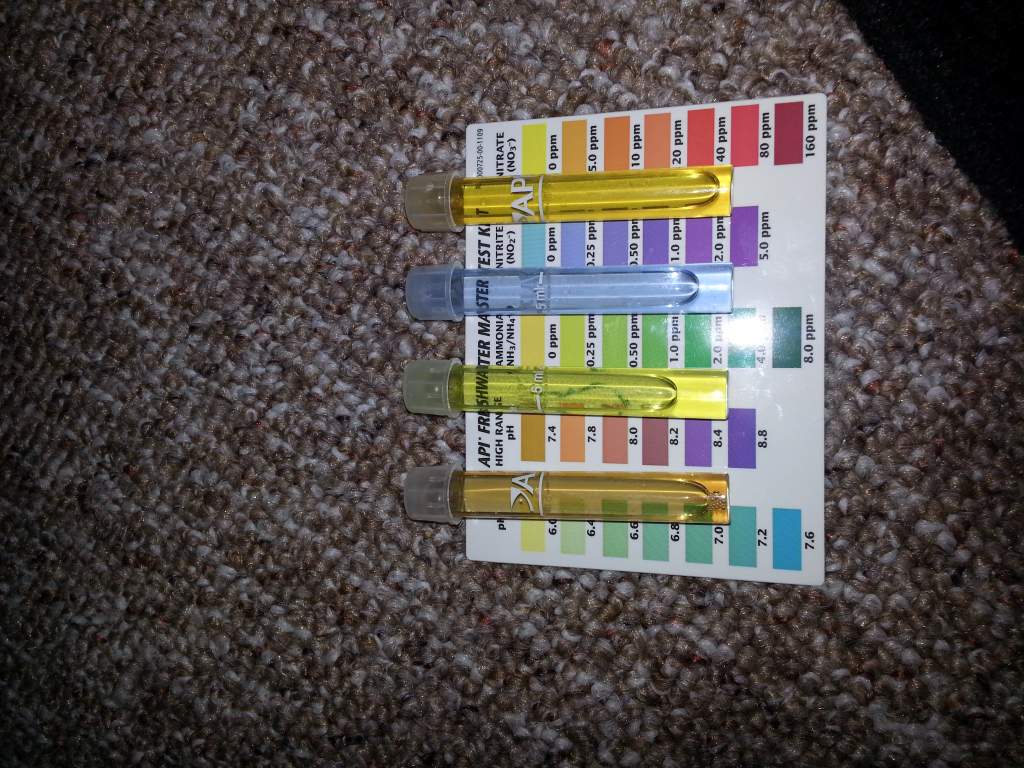 Water test results