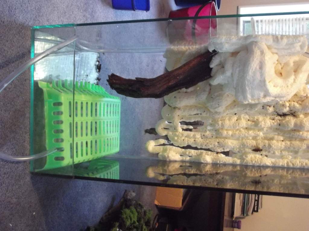 waterfall in place. and the crate im using for a false bottom