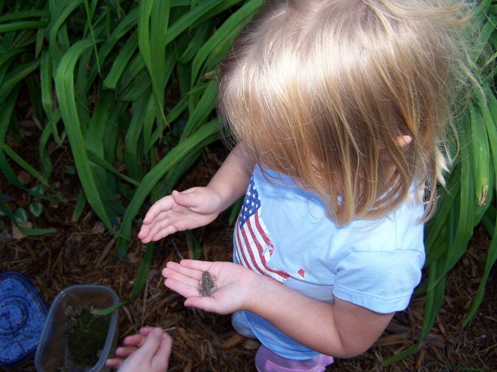 we went in our backyard collected animals and then released them...I am trying to cultivate a scientist
