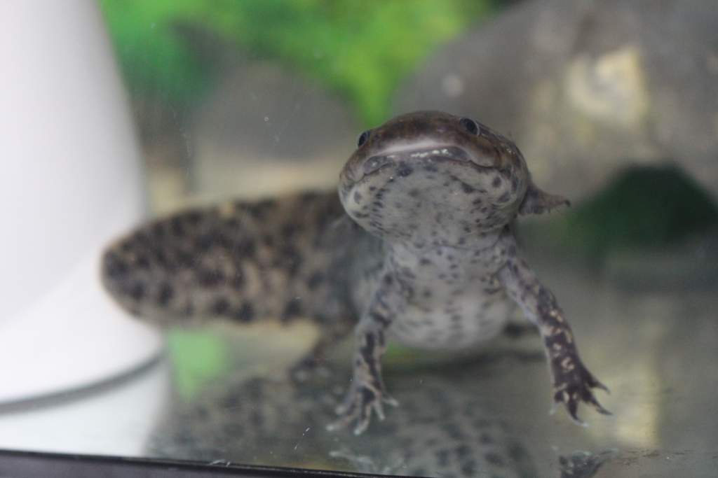 Well hello there!