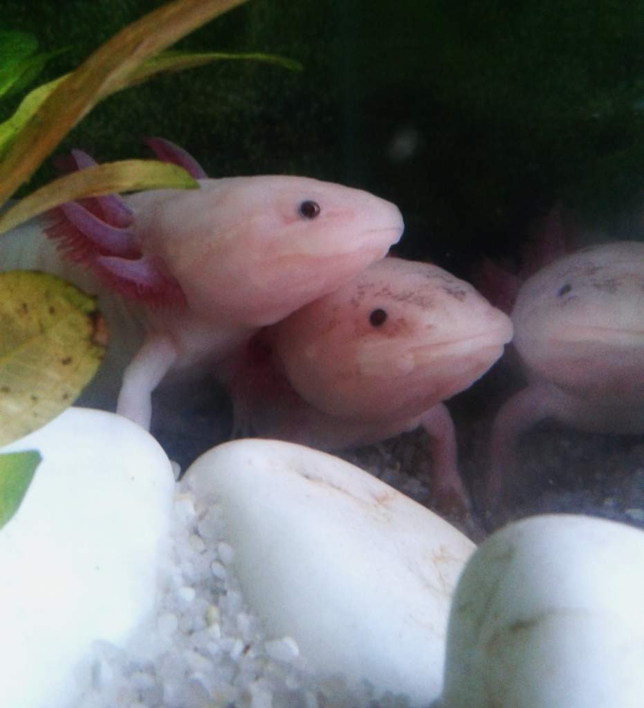 We're watching you!