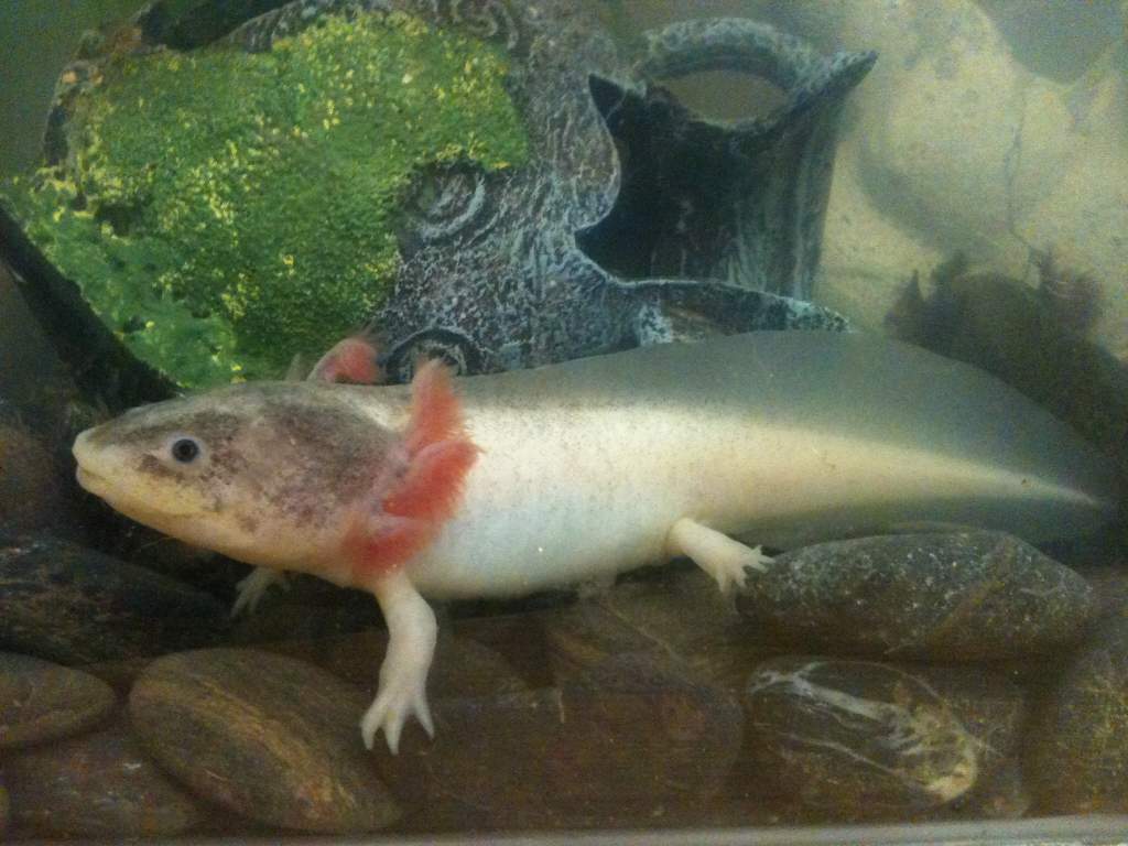 What a handsome young man!