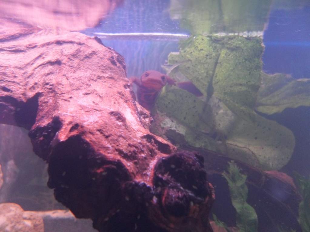 "What are you looking at?"