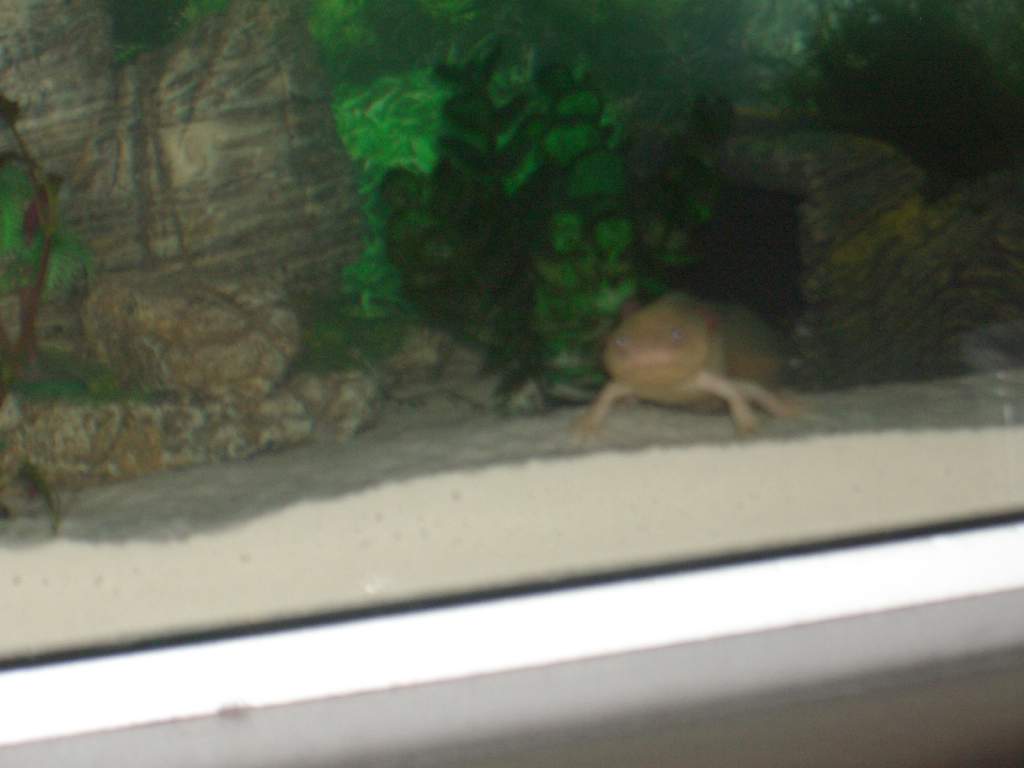 What I wake up to each morning :P