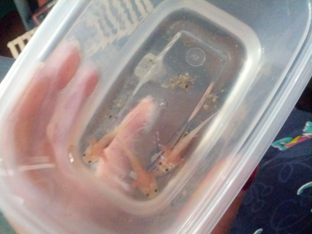 When I first got my lottls.