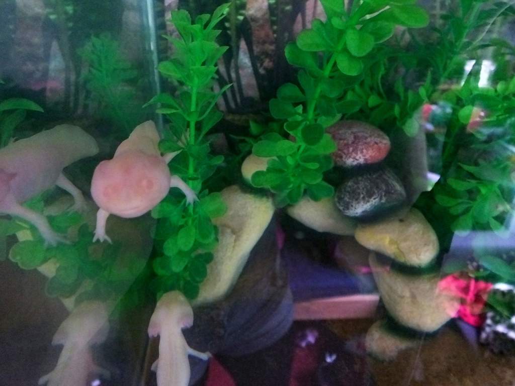 When I first got them!