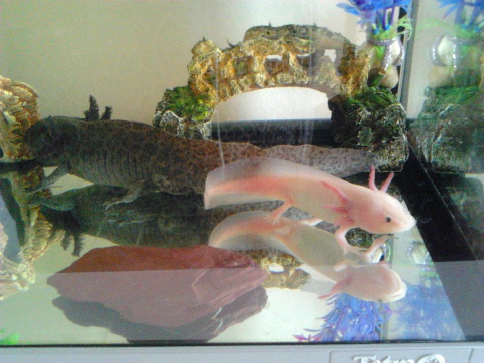 when i first moved them in together :P