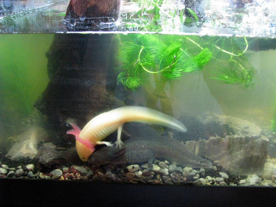 Why hello there!