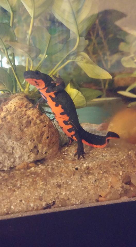 "Why hello there!"
