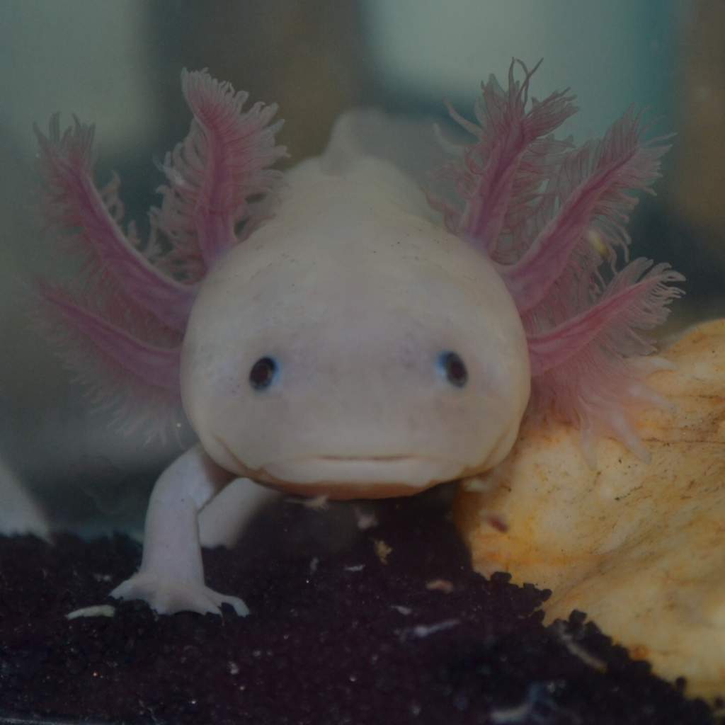 Why, Hello!!